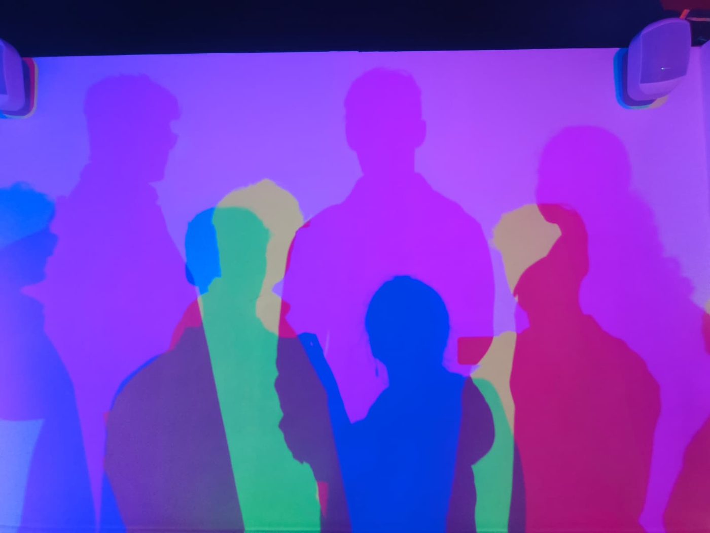 Colourful silhouettes of people at a gig