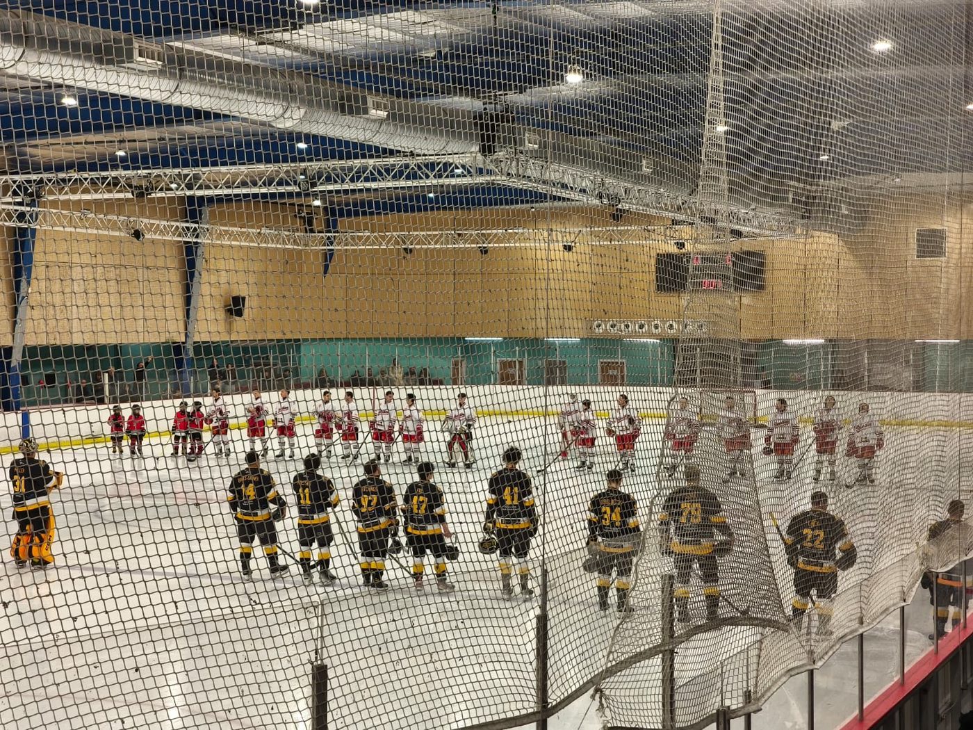 Players lined up at an ice hockey game